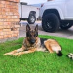 The real Maverick...